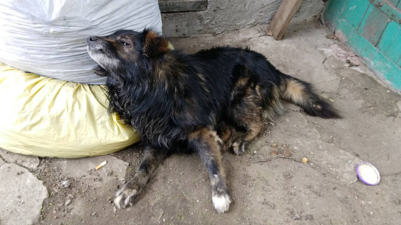 82FFC99B-FD36-4E92-AC93-B096E492D562