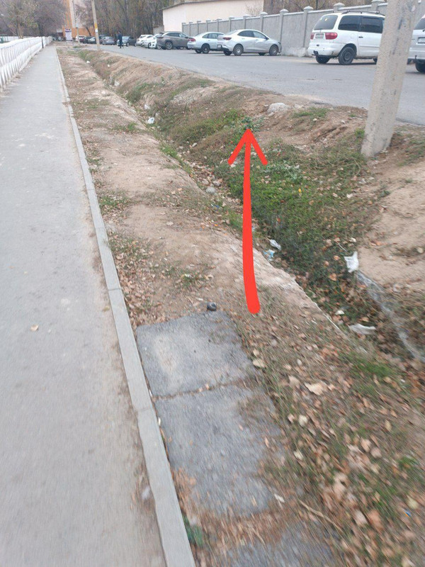 d25a2742ac5171b53d1ff884d6725fa5