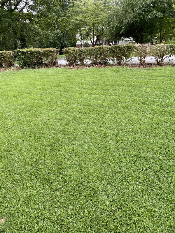 D2AD1F83-AD2C-4BBB-BB76-6EFC6A5D4162