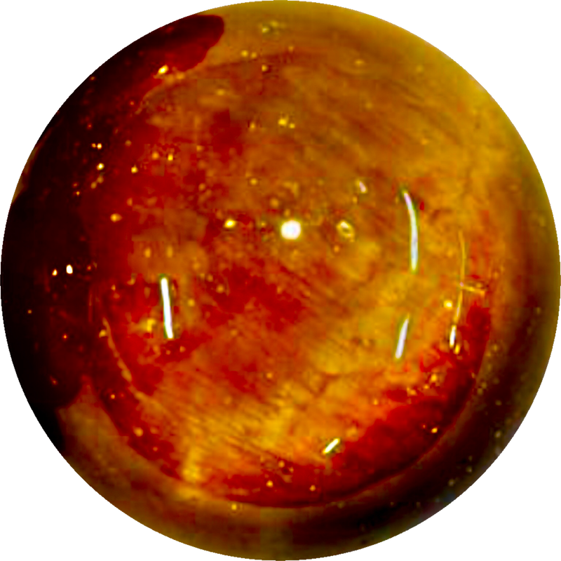 CD4FE6D9-8FC4-4C27-BA3E-106FB0D9DF2E