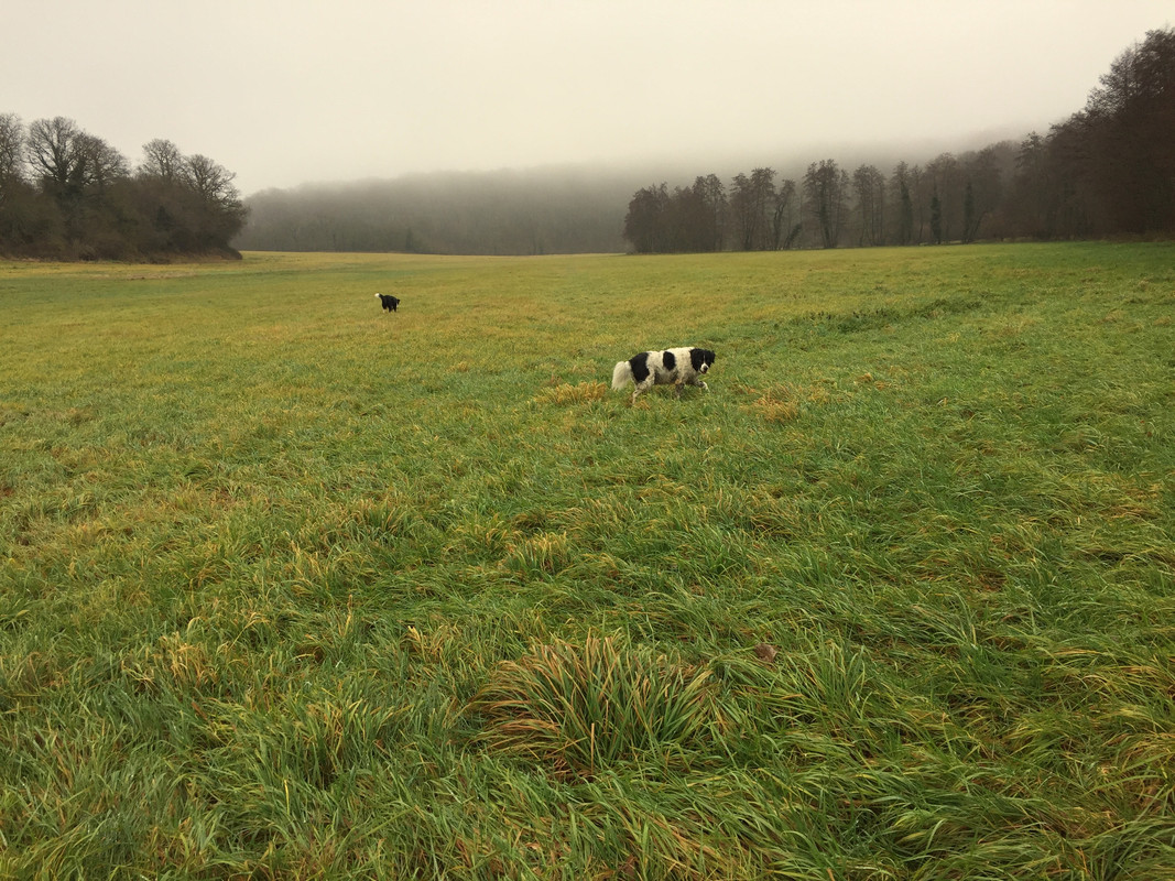 60AF6769-5713-40BF-B600-A01AC0740357