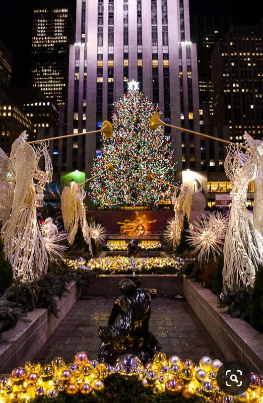 Screenshot_20231126_130838_Pinterest