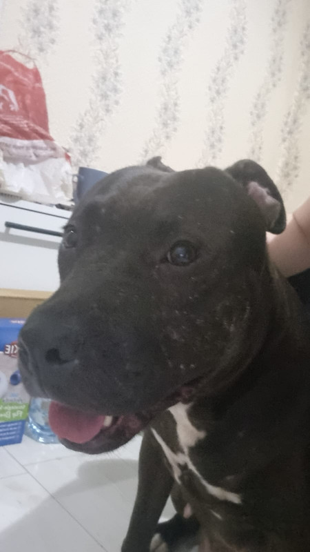 EFE13DE7-5568-48F7-9C2A-F9DDD1ACA054