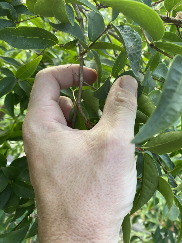 D9A8FC37-BE2A-403D-BA61-037388194C2A