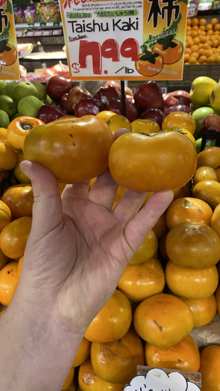 03F3ED26-18B9-4CA1-9458-D2018B82E6B8