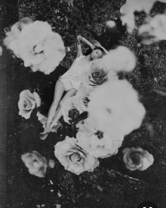 Screenshot_20240117_232518_Pinterest