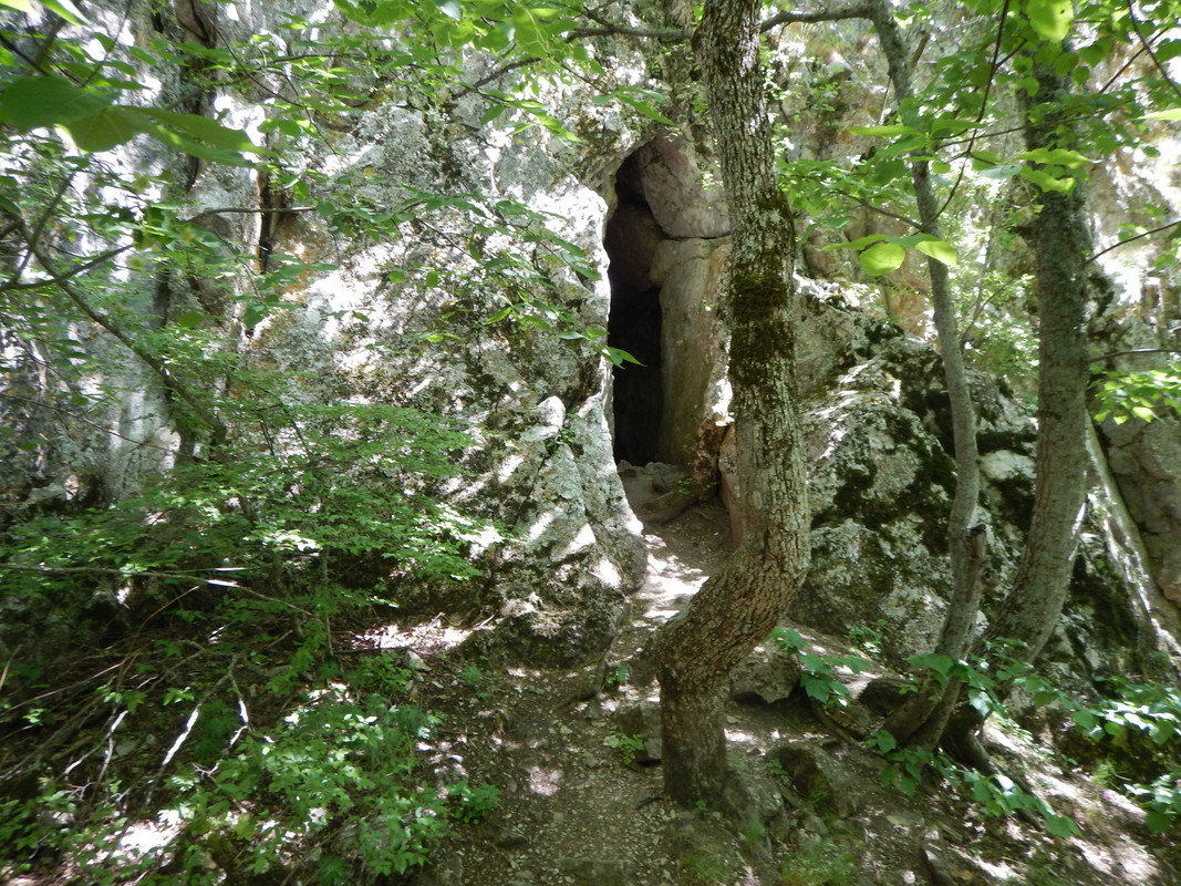 DSCN7458