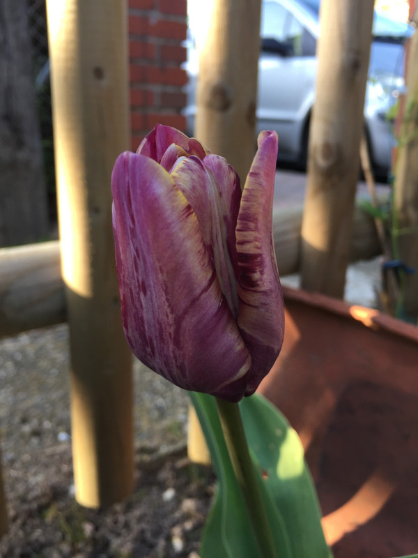 244AA585-4757-4702-8629-E09BB8587365