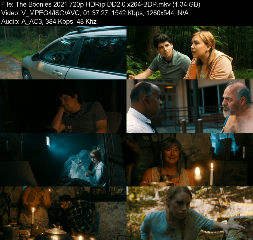 the-boonies-2021-720p-hdrip-dd2-0-x264-b