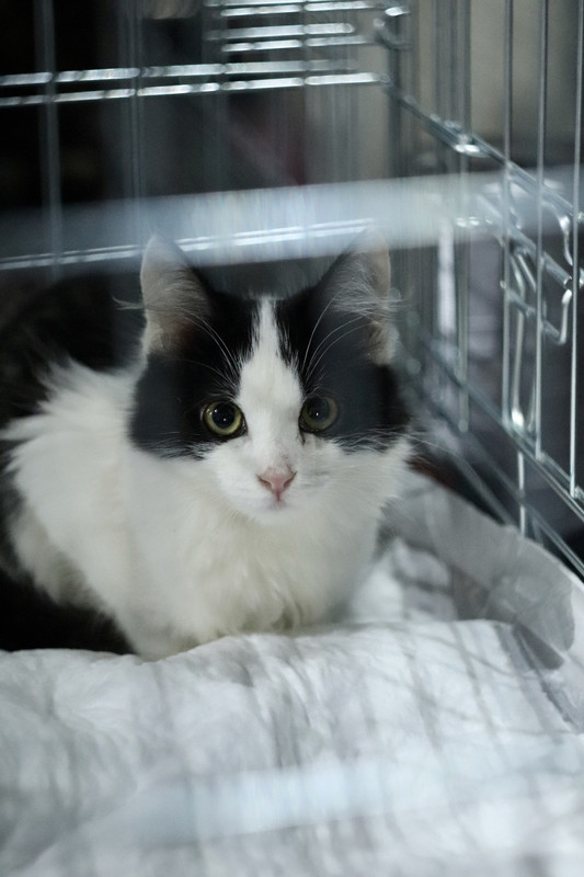 F93DB9FD-ADB5-4FAE-93F4-04B252D57F1C