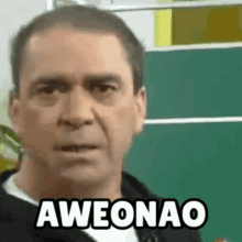 bonvallet-aweonao.gif