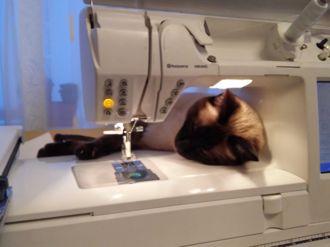 новые фото1 016