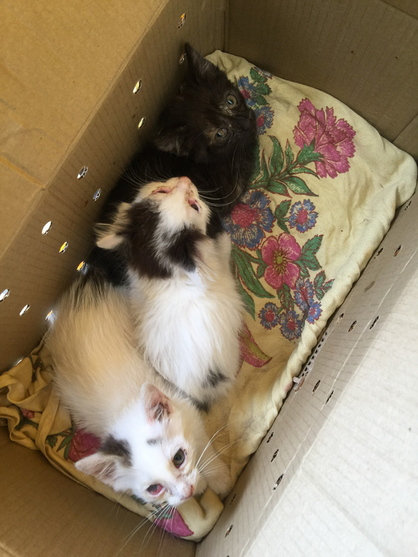 26A0A136-A9DD-4C13-90FB-8920A4B1D6E8