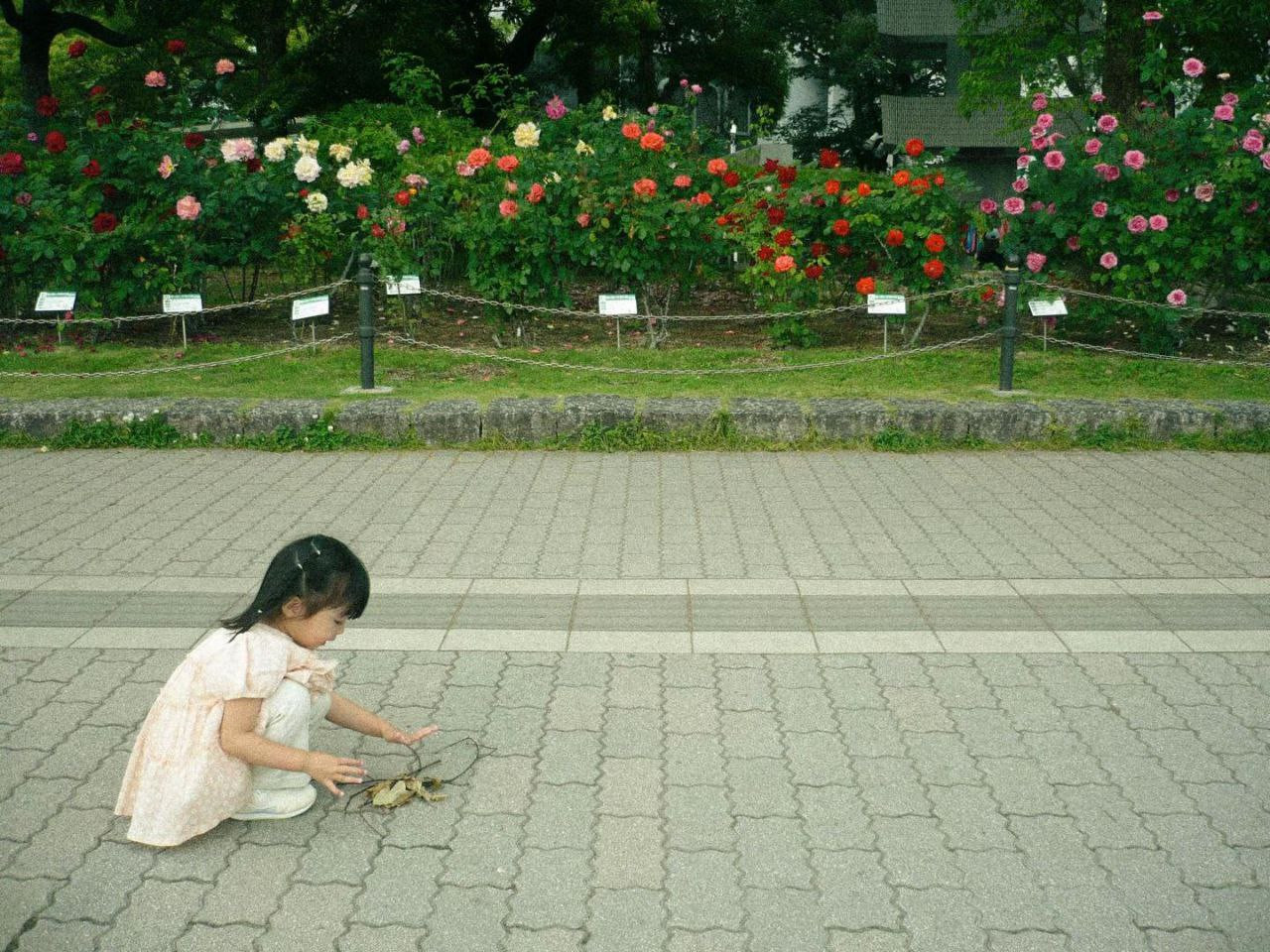 photo 26 2025 12 14 20 03 45