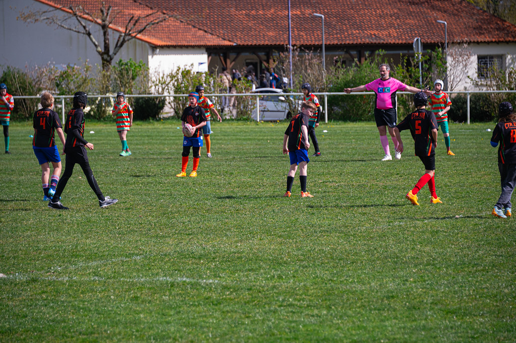 tournoi-de-latlantique-2026-adonis-griffon-12-55180403327-l