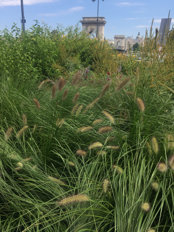 76F1EBE4-DC3C-4053-A5AE-8A0A7A275ED0