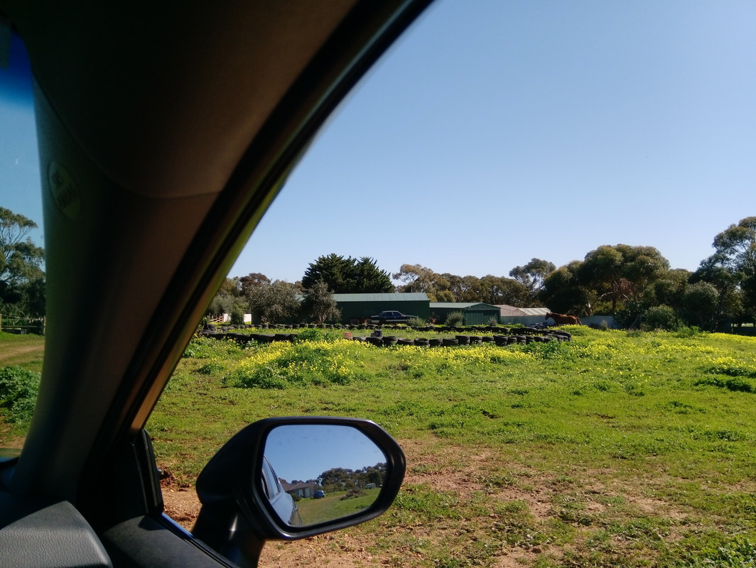 VL commodore wrecks Aug2019 (1)