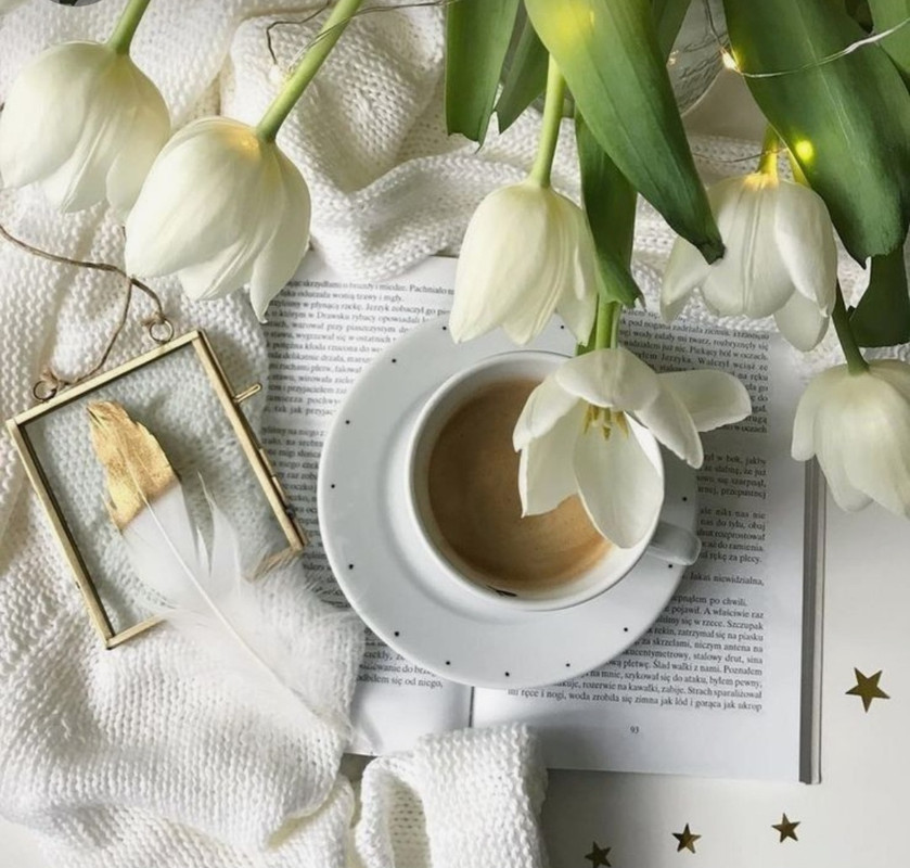 Screenshot_20240706_221650_Pinterest