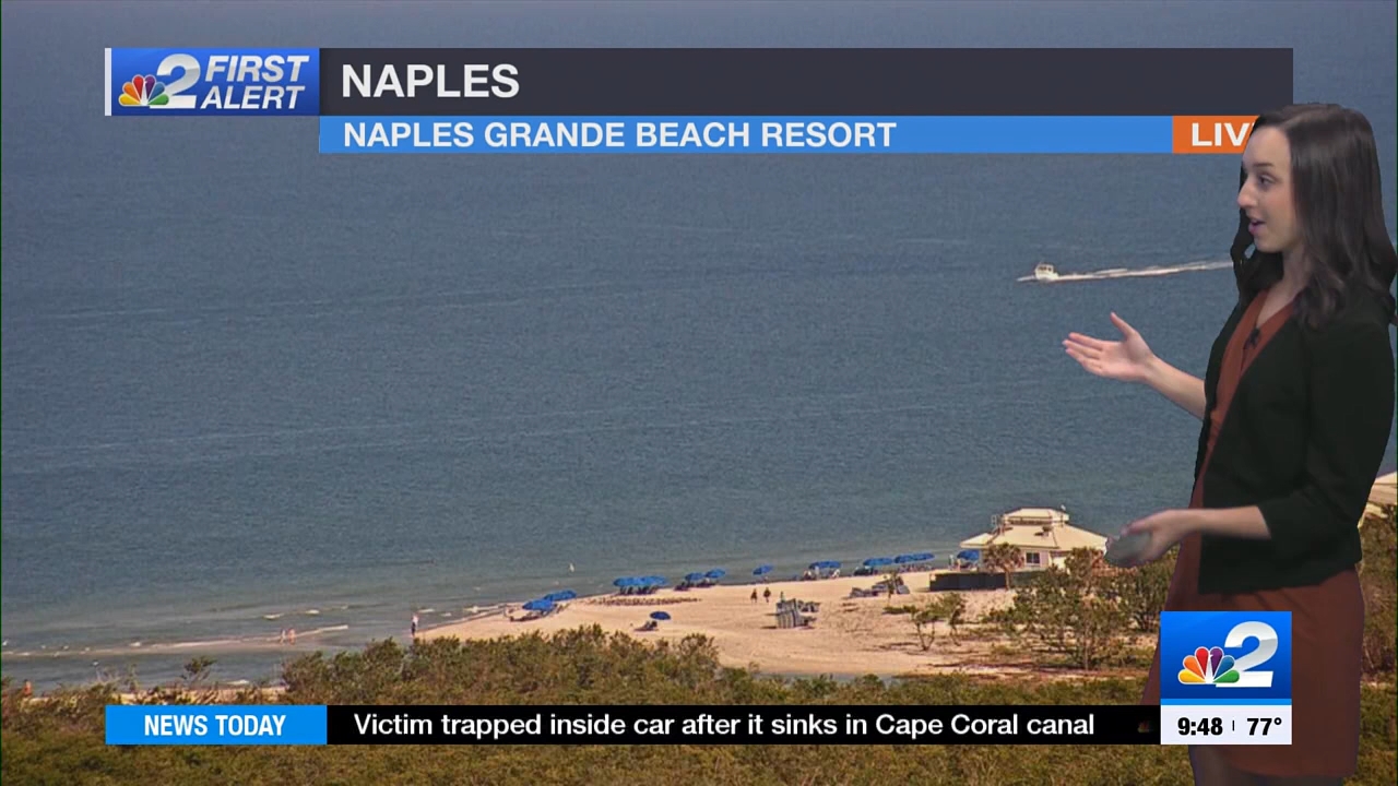 03.26 - 14.00.00 - NBC 2 News Today - Sunday  ᴺᵉʷ..ts_snapshot_00.55.01.893