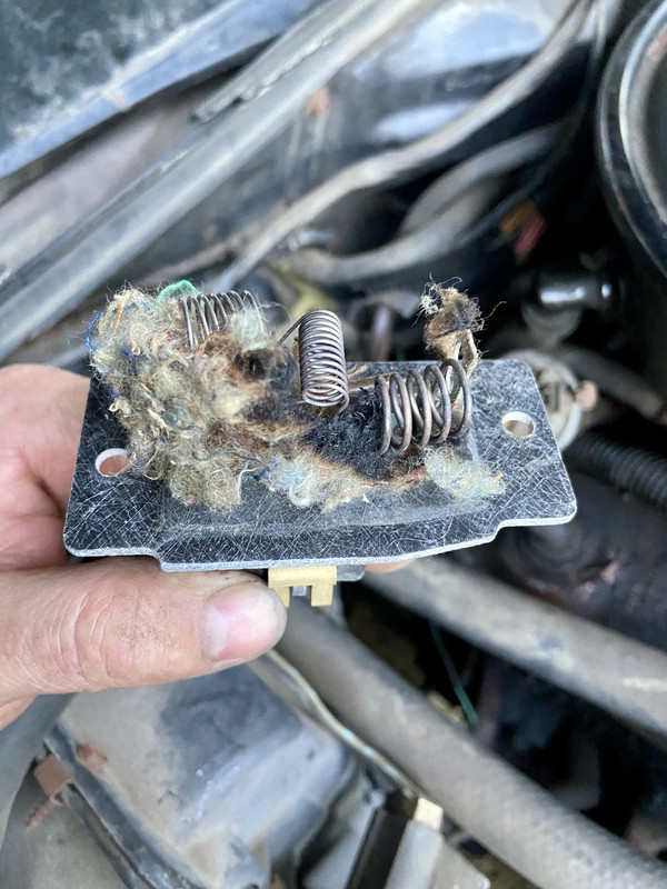 81BC19B2-F782-4986-8BD8-D6743D199190