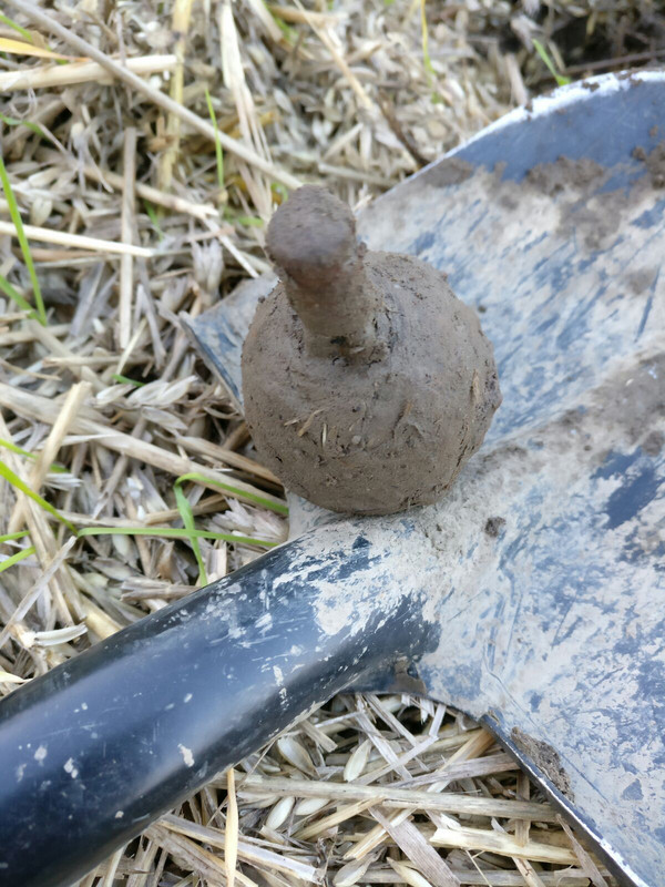 IMG-20170927-WA0004