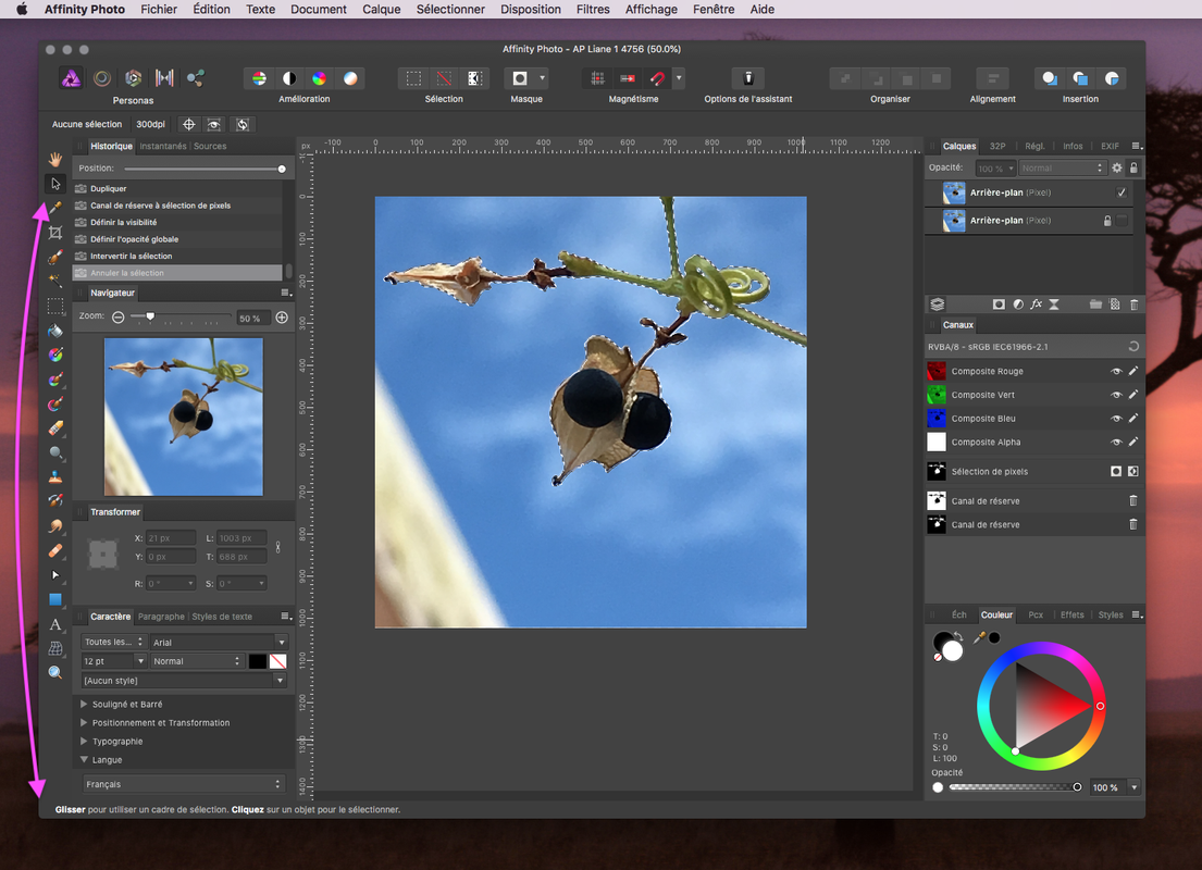 Capture d’écran 2018-08-18 ? 09.39.50