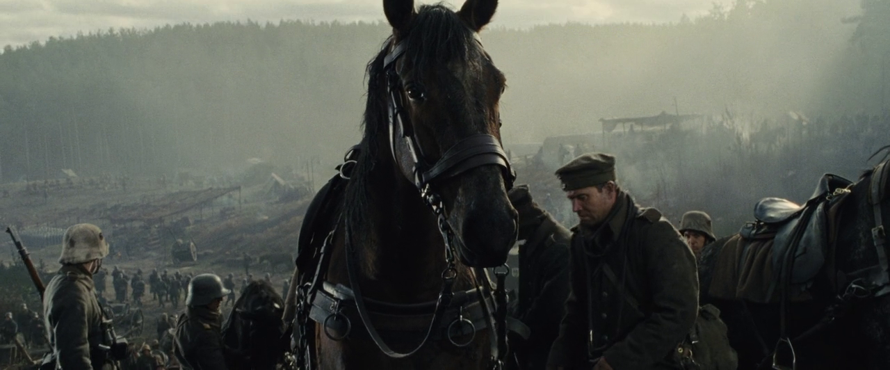 vlcsnap-2021-06-13-01h53m48s230