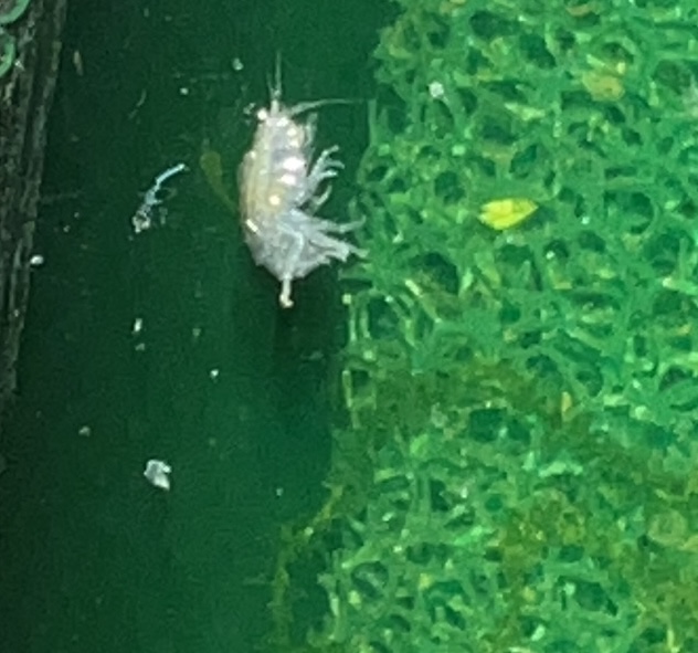 6B19F2E7-7F37-4D5F-9E50-58701A002604