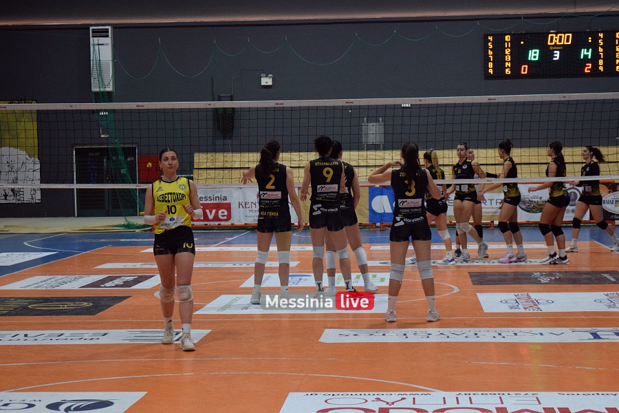 sp-apollo-nea-genea-08-20250208
