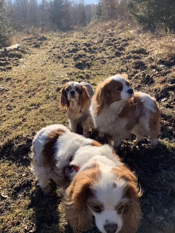 8F3DEB0A-191B-4F6E-B17C-079B5B266186