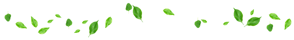 images.png