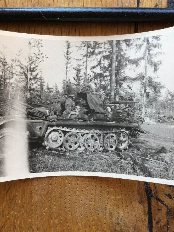 Wehrmacht Gebirgsjäger Panzer Original Foto.