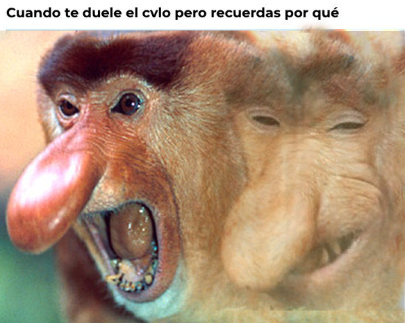 imagen-2021-07-12-195346.png