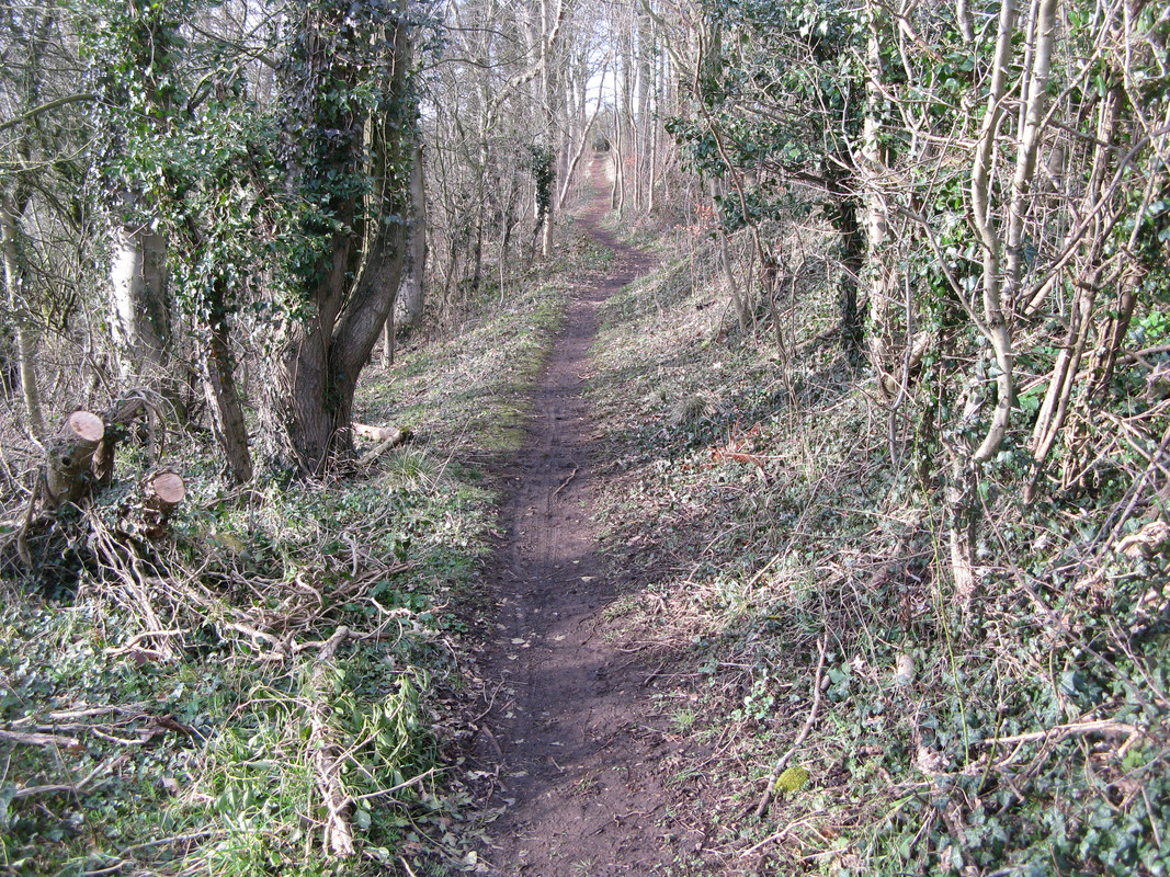 2B5C65AD-0A6F-4D27-8051-EEFAFA154EAF