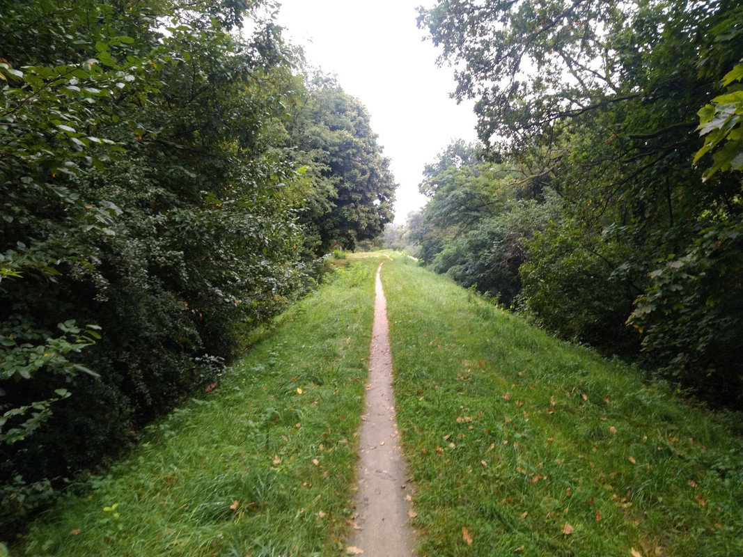 IMG-20210919-094915.jpg