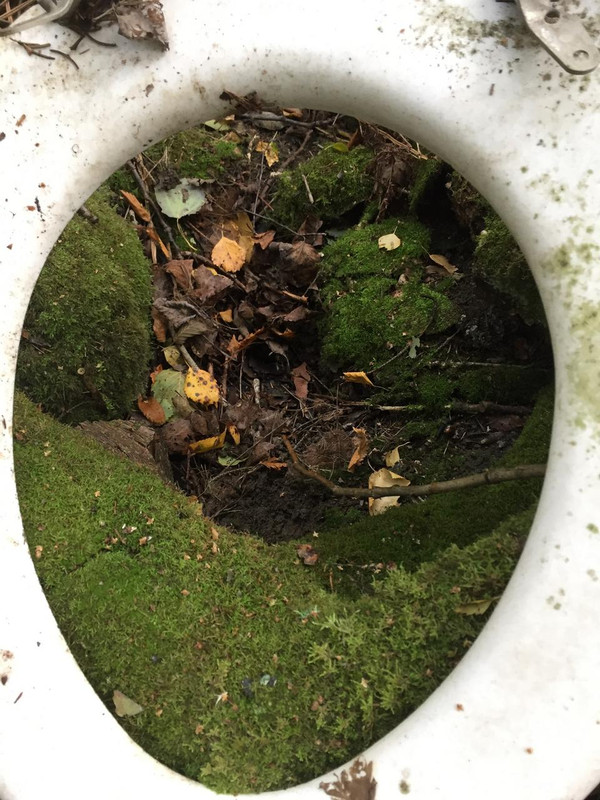 282C1DF3-0DF4-4B94-9F03-44582B0F8E70