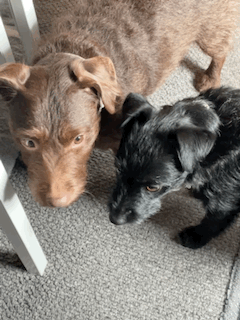 90257042-8B43-4CC8-A4E2-191A6DB0684A.gif
