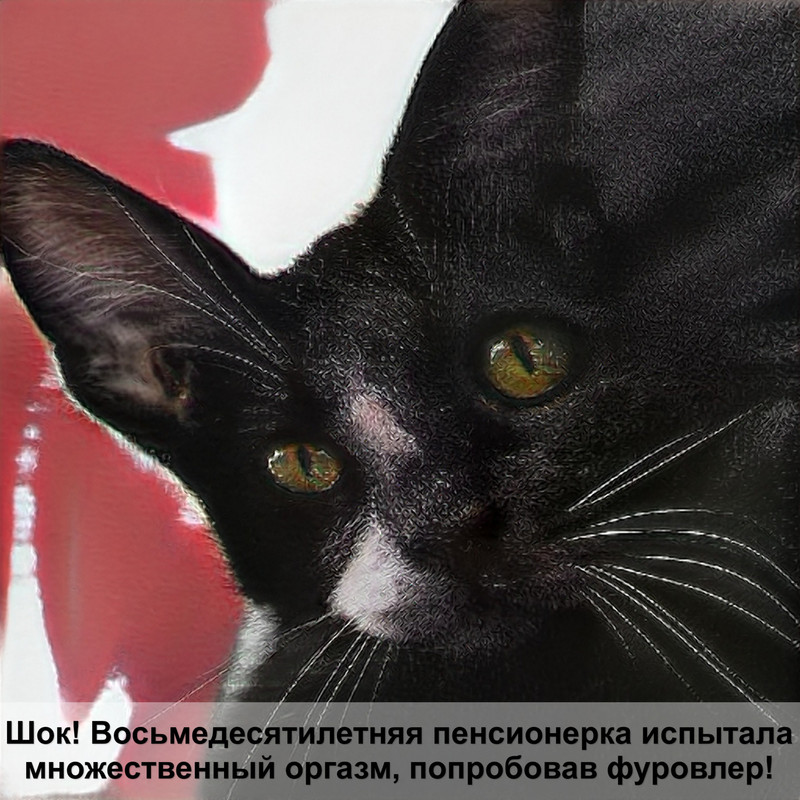 как сделать игрушку для кота из бумаги