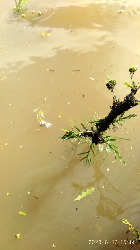 IMG_20230813_154415_HDR