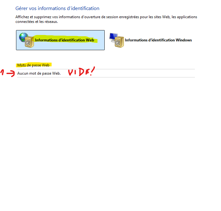 Capture d’écran 2025-01-13 131703