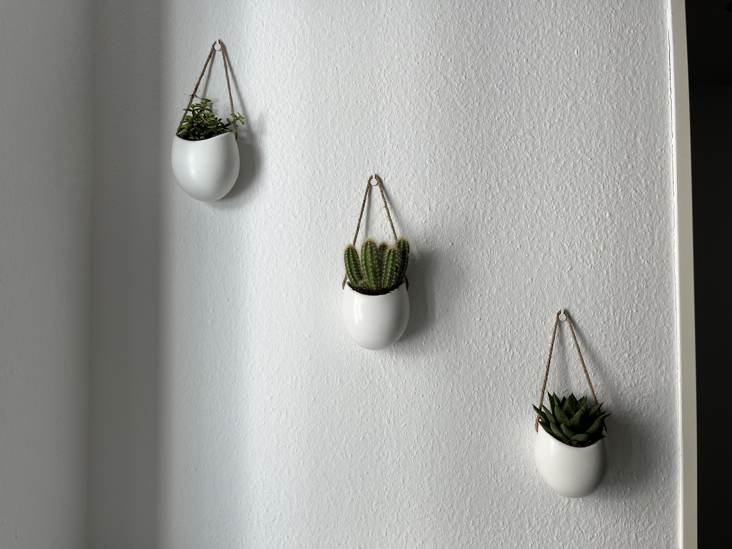 F8A145E5-B051-4373-8278-5AEF5B123D7D