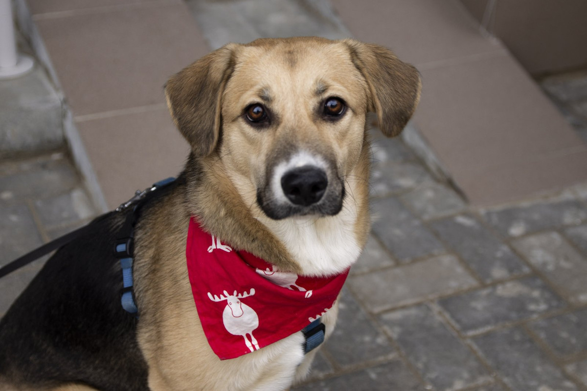 изображение_viber_2022-12-05_22-36-29-964