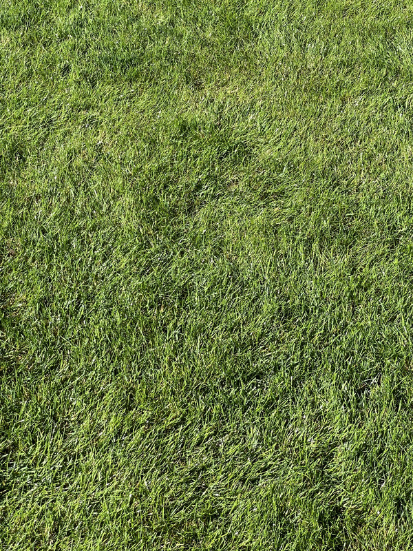 5207DEB6-F22A-4107-B2C6-D80FAE086309