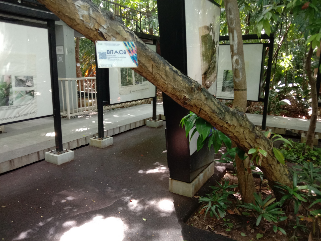Arroceros Forest Park Manila Bagras20260715 142314