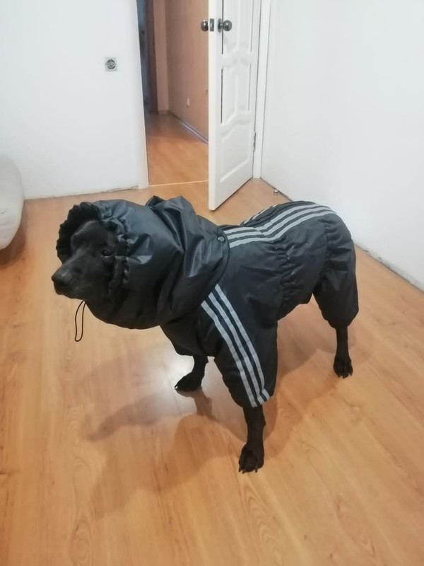 B0B4C35E-1D1C-4E70-8CAB-D3C69F384DEB