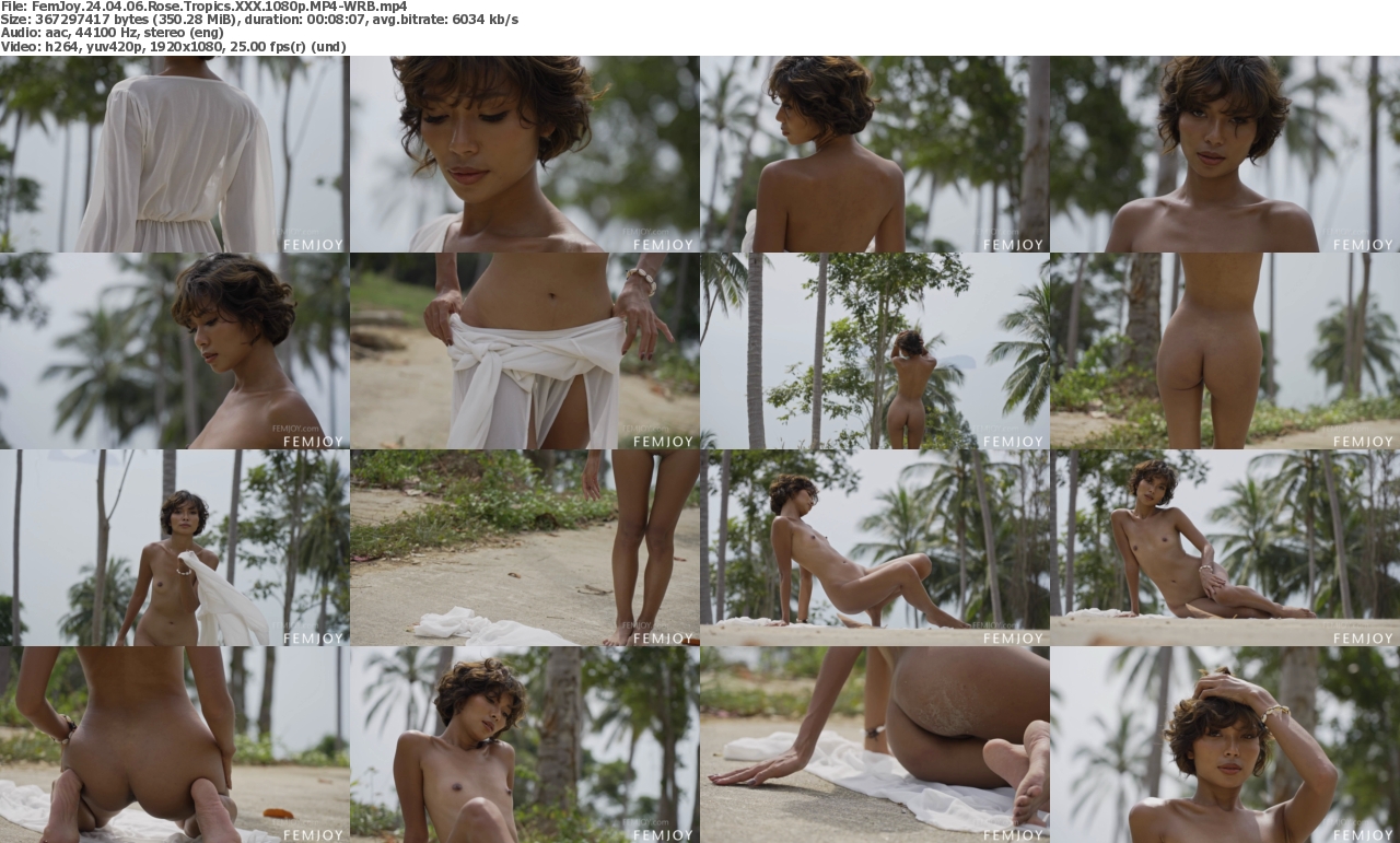 06042024144338screenshot