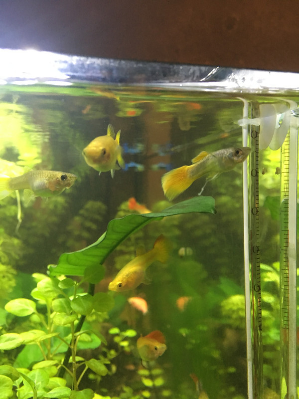 9BBE246D-5DC6-4003-89B4-8B7986DF8343