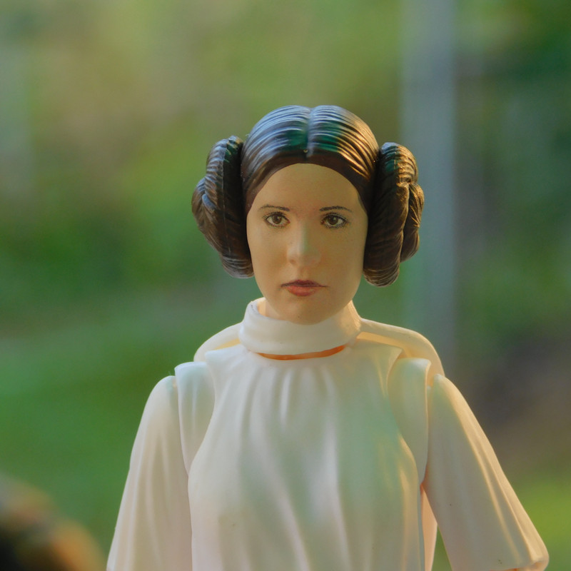 Дачно-Харлинский июнь-июль 2024 248