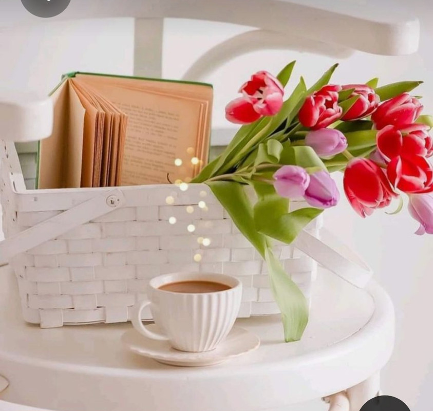 Screenshot_20230712_013746_Pinterest