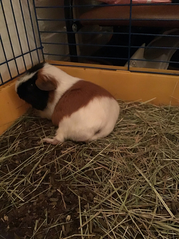 A03F6DB5-412A-4D04-B4B3-EA3B22435551